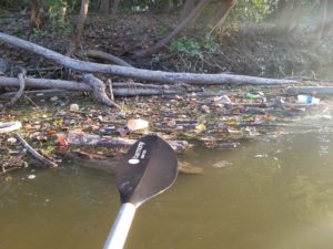 Maumee River Cleanup BCS Management Maumee Rentals