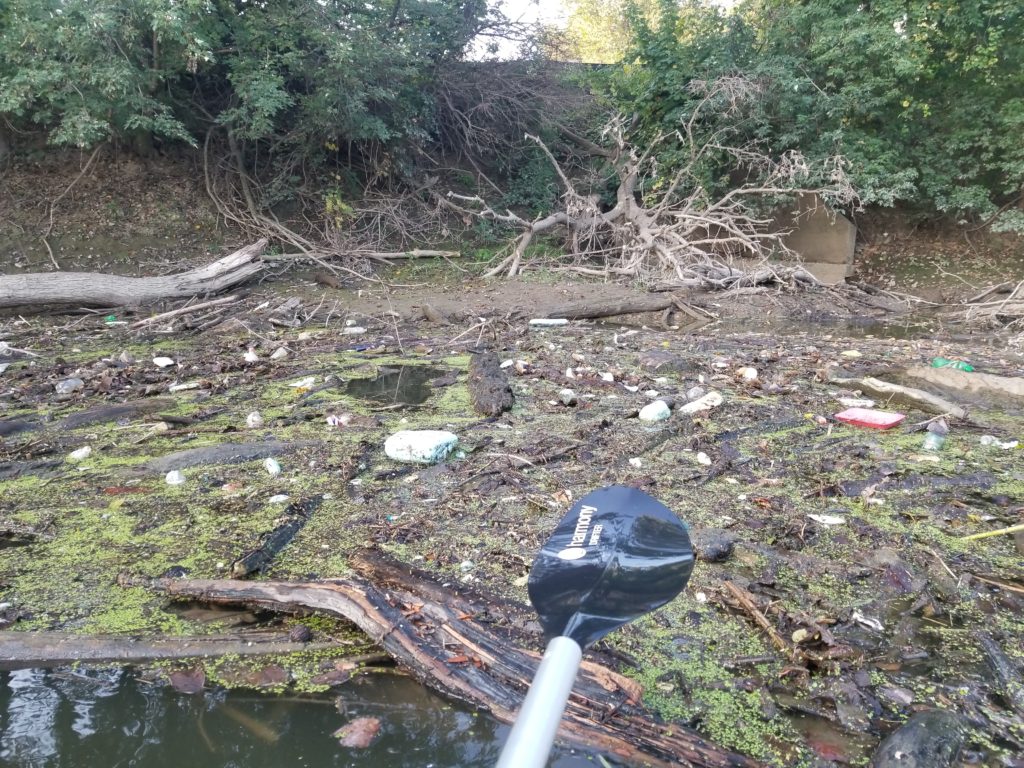 Maumee River Trash