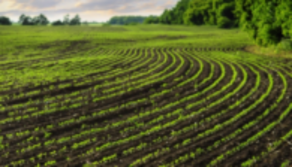 land-app-300x112 land-app-300x112
